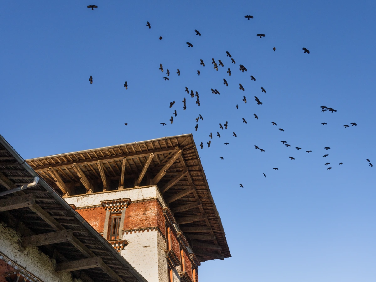 Bumthang img-02