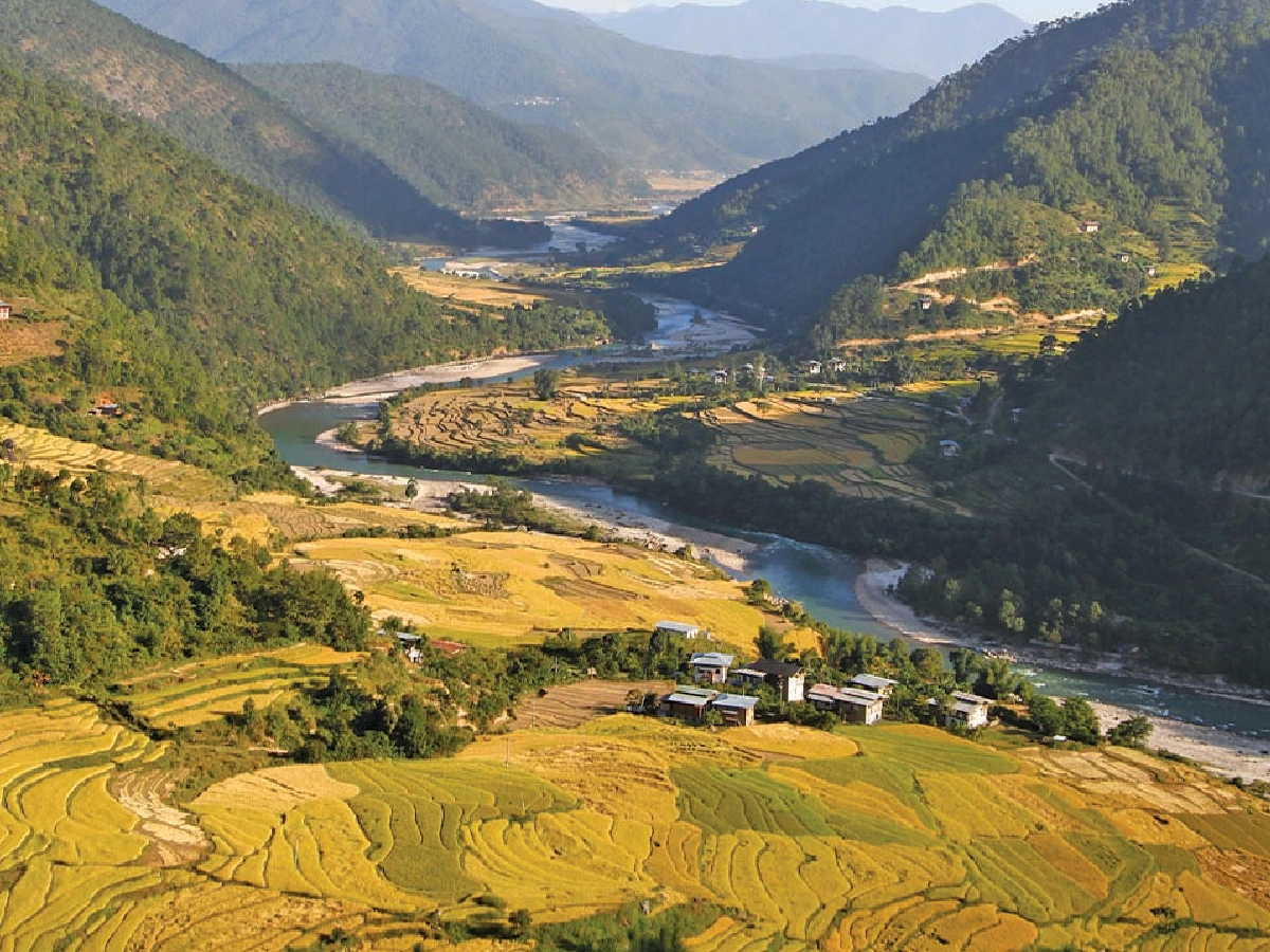 PUNAKHA-02