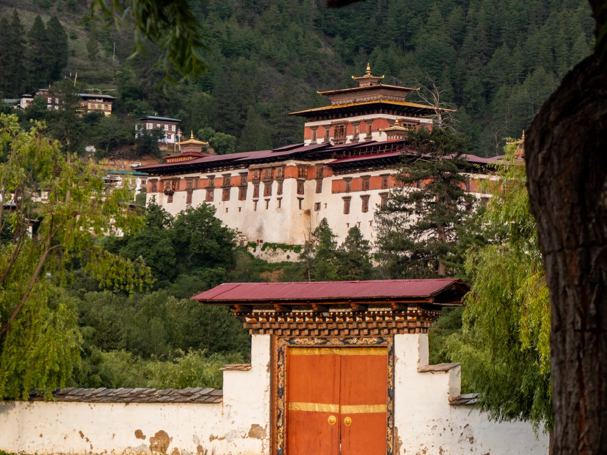 paro-02