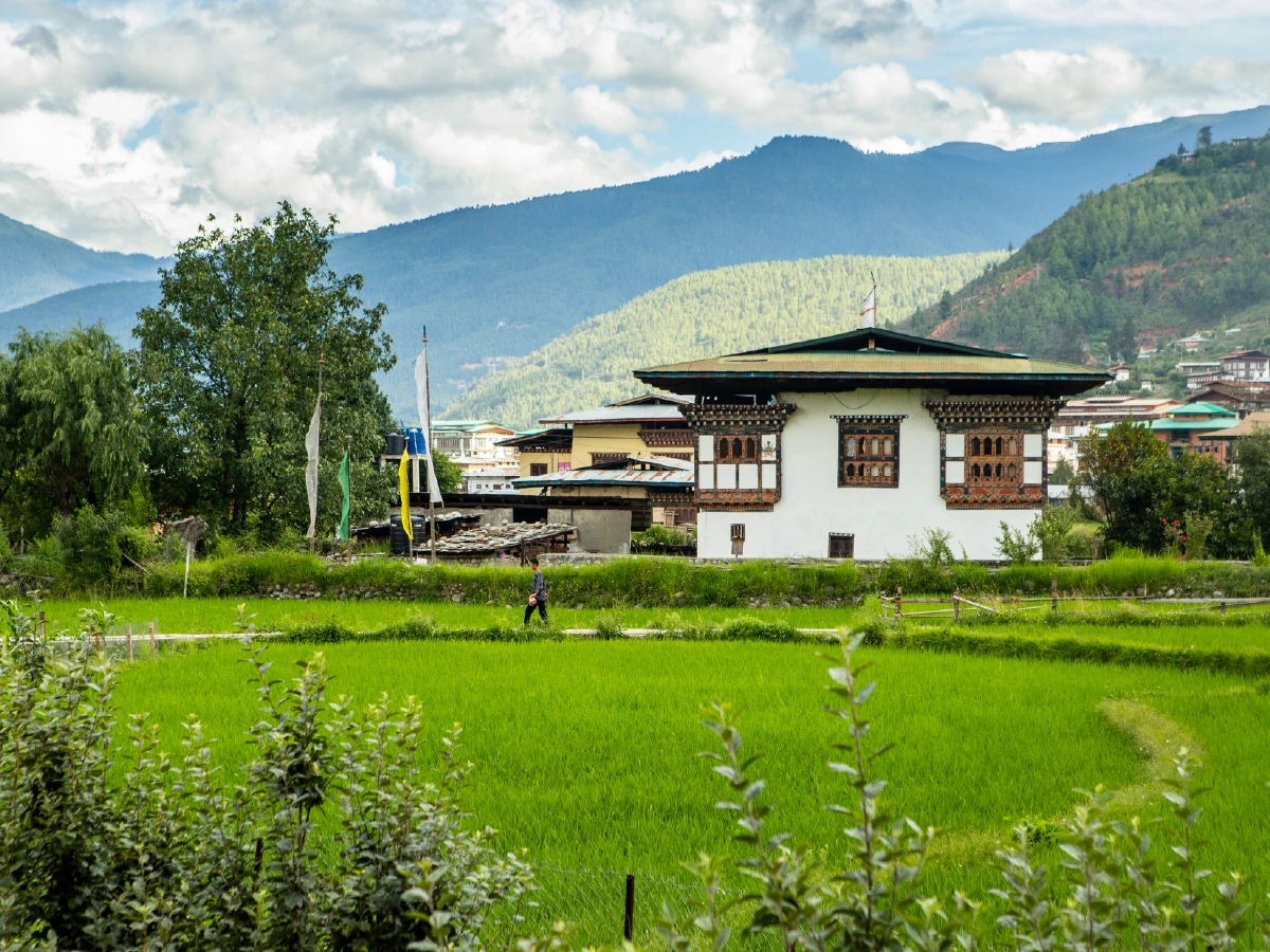 paro-03
